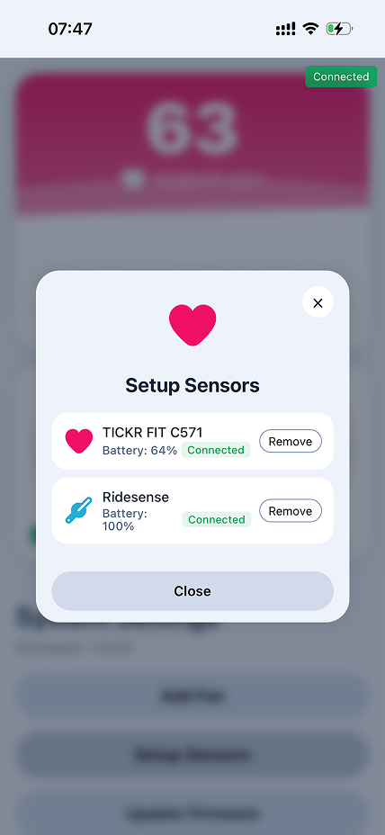 Web UI 3